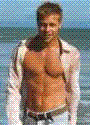 bradpitt1.gif