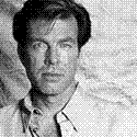 peterbergman5.gif